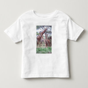 Camiseta De Bebé Grupo de jirafas o manada con crías, Giraffa
