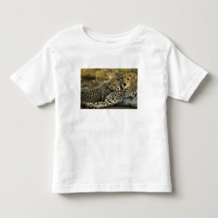 Camiseta De Bebé Guepardo, Acinonyx jubatus, con cría en el Masai 2