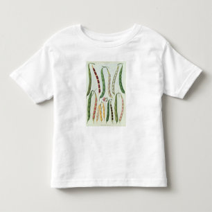 Camiseta De Bebé Habas