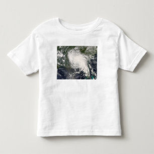 Camiseta De Bebé Hada tropical 3 de la tormenta
