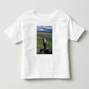 Camiseta De Bebé halcón gerifalte, Falco rusticolus, juvenil