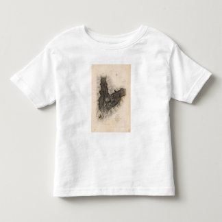 Camiseta De Bebé Haleakala, Hawaii