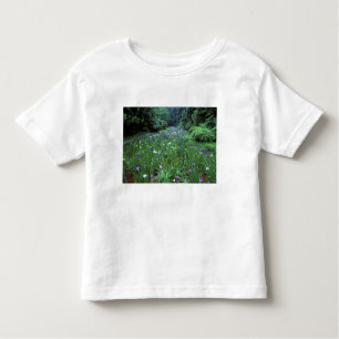 Camiseta De Bebé Hana Shobu (Iris japonés de agua), santuario Meiji