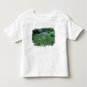 Camiseta De Bebé Hana Shobu (Iris japonés de agua), santuario Meiji