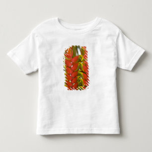Camiseta De Bebé Hanging Heliconia, Frutas del Martes Semanal &