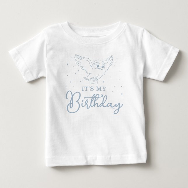 Camiseta De Bebé Harry Potter Hedwig Azul Cumpleaños Mágico (Anverso)