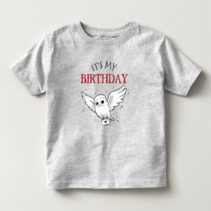 Camiseta De Bebé Harry Potter Hedwig Entrega Especial Cumpleaños