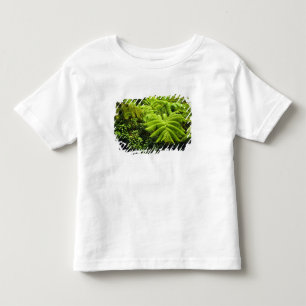 Camiseta De Bebé Hawái, Isla Grande, Exuberante vegetación tropical