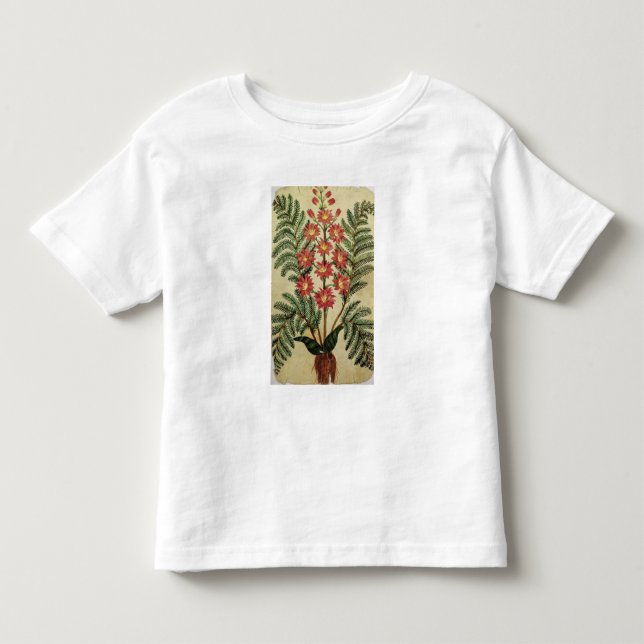 Camiseta De Bebé Helecho con las flores rojas y amarillas (Anverso)