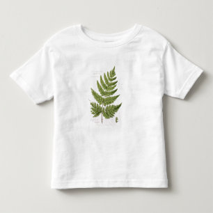 Camiseta De Bebé Helecho de escudo Espinoso-dentado amplio, pintado