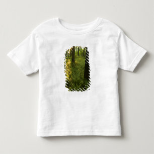 Camiseta De Bebé Helechos en el bosque en Grafton, Massachusetts.