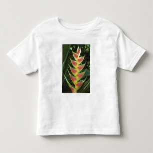 Camiseta De Bebé Heliconias, Heliconia walkeriana), La Selva