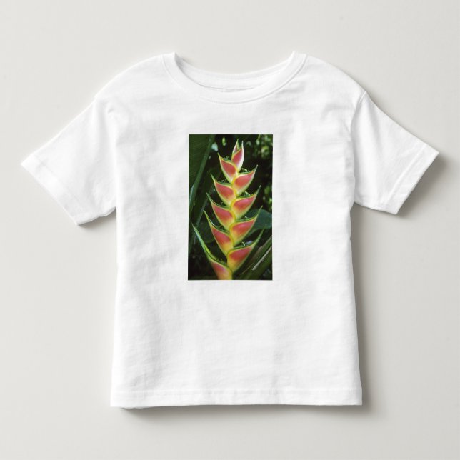 Camiseta De Bebé Heliconias, Heliconia walkeriana), La Selva (Anverso)