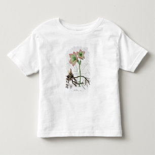 Camiseta De Bebé Helleborus Niger de "Phytographie Medicale" por J