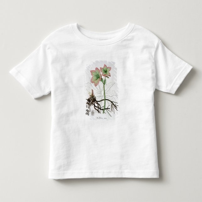 Camiseta De Bebé Helleborus Niger de "Phytographie Medicale" por J (Anverso)