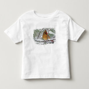 Camiseta De Bebé Hembra de cardenal norteño en pino nevado,