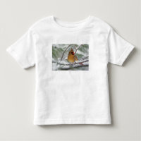 Hembra de cardenal norteño en pino nevado,