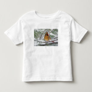 Camiseta De Bebé Hembra de cardenal norteño en pino nevado,