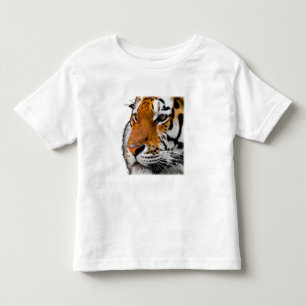 Camiseta De Bebé Hermosa foto de la cara de un tigre de Bengala