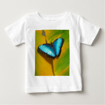 Hermosa Mariposa Irisada