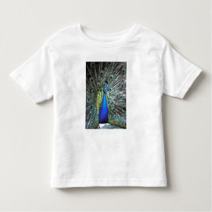 Camiseta De Bebé Hermoso pavo real esparciendo plumas coloridas