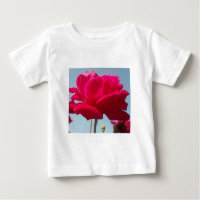 Hermoso Rosa Celestial Rojo Contra Azul