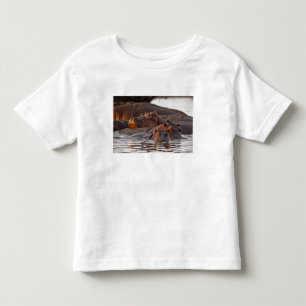 Camiseta De Bebé Hipopótamo, Hippopotamus amphibius, Lago