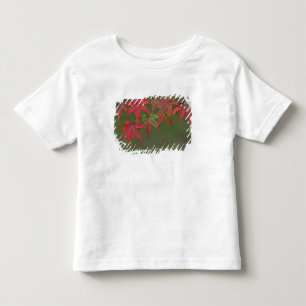 Camiseta De Bebé Hojas de Arce, Katsura, Kyoto, Japón