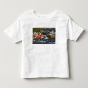 Camiseta De Bebé Hojas de arce rojo cubren las rocas en el