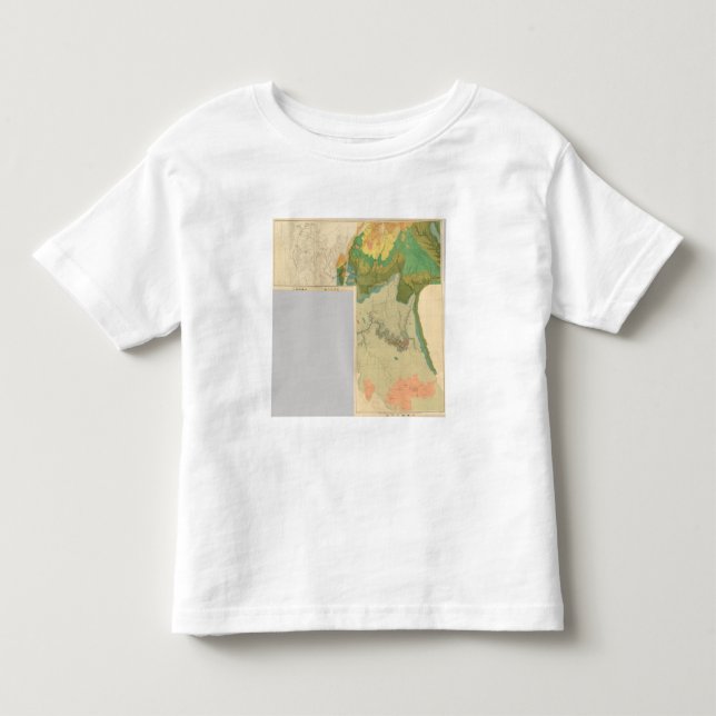 Camiseta De Bebé Hojas geológicas del mapa (Anverso)