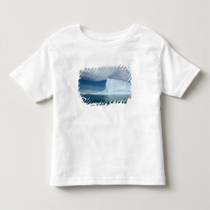 Camiseta De Bebé Icebergs en la punta sur de South 2