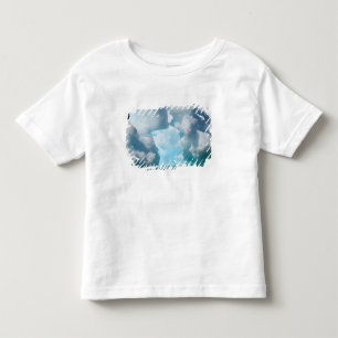 Camiseta De Bebé Icebergs en la punta sur de Sud