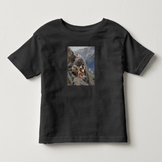 Camiseta De Bebé Iconos de los nativos americanos: guerreros apache