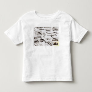 Camiseta De Bebé Ictiología Elasmobranch, ganoide