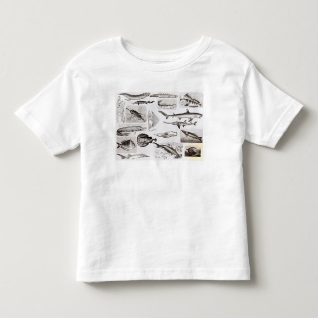 Camiseta De Bebé Ictiología Elasmobranch, ganoide (Anverso)