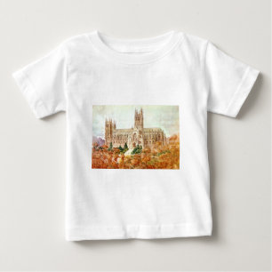 Camiseta De Bebé Iglesia Catedral de San Pedro y San Pablo