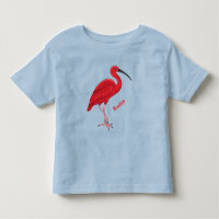 Ilustracion de pájaro ibis de escarlata personaliz
