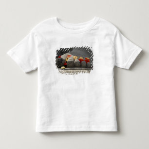 Camiseta De Bebé India, Mangalore, Karkala. Religión jainista