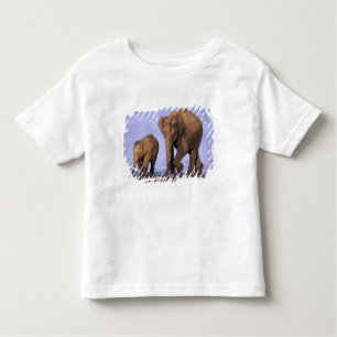 Camiseta De Bebé India, Parque Nacional Nagarhole. Elefante asiátic