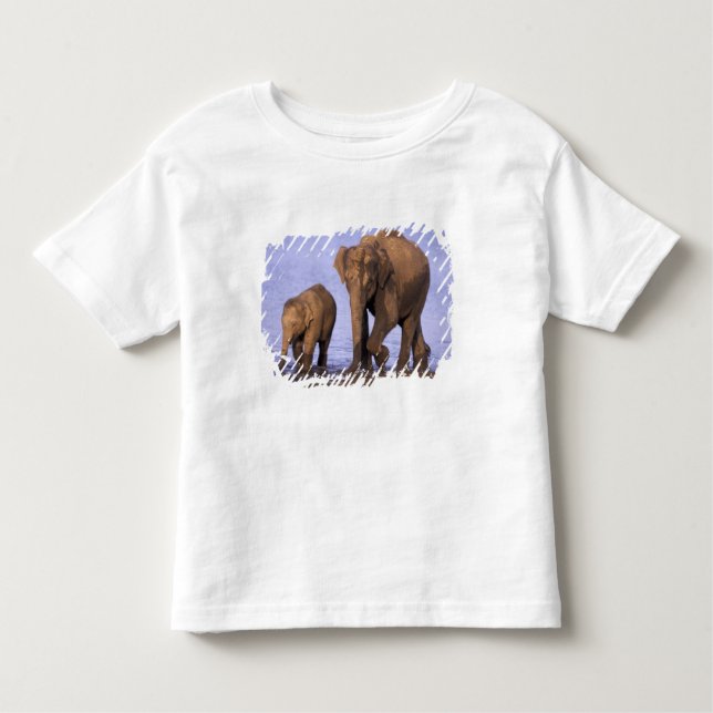 Camiseta De Bebé India, Parque Nacional Nagarhole. Elefante asiátic (Anverso)