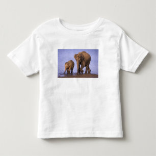 Camiseta De Bebé India, Parque Nacional Nagarhole. Elefante asiátic