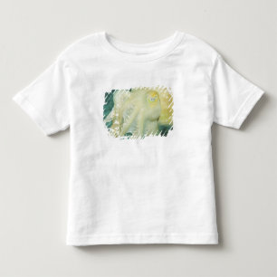 Camiseta De Bebé Indonesia, provincia de Célebes Meridional, Wakato