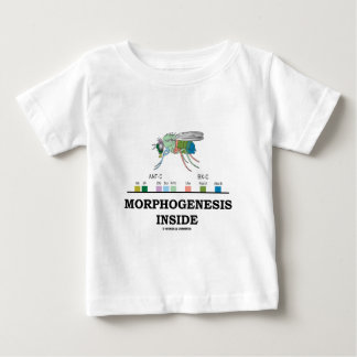 Camiseta De Bebé Interior de la morfogénesis (genes de la