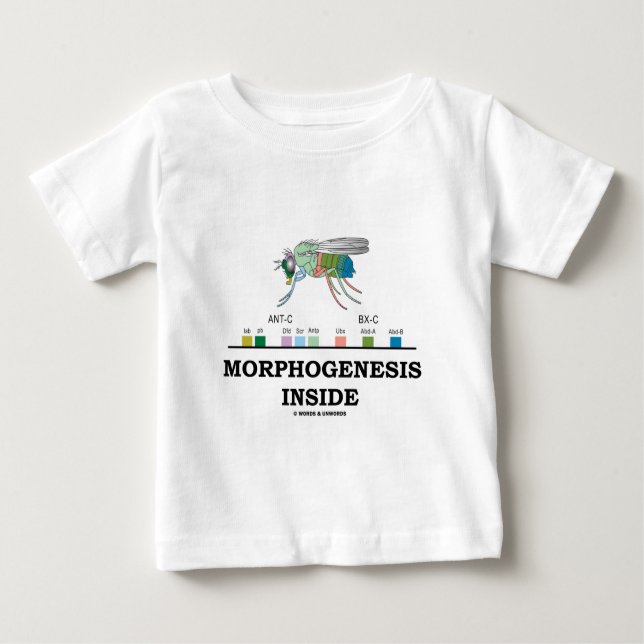 Camiseta De Bebé Interior de la morfogénesis (genes de la (Anverso)