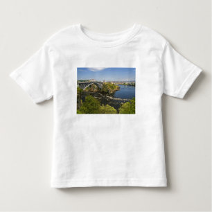 Camiseta De Bebé Invertir caídas en el río St. John en St.