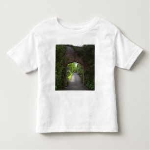 Camiseta De Bebé Irlanda, el Castillo de Dromoland muy verde