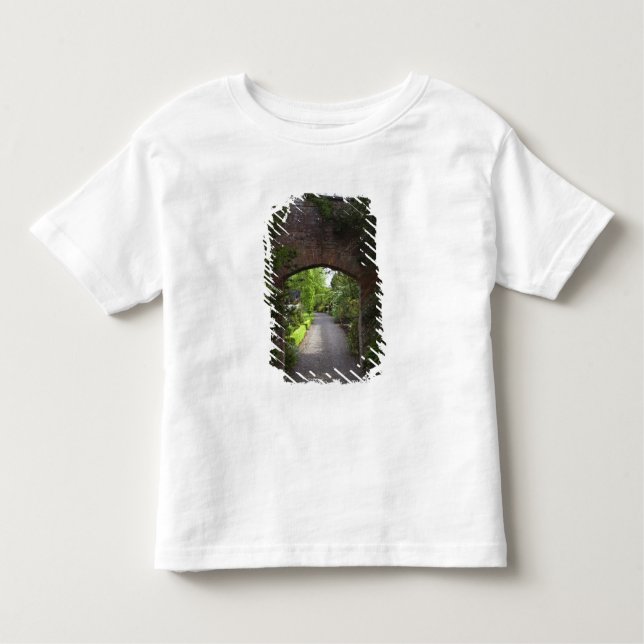 Camiseta De Bebé Irlanda, el Castillo de Dromoland muy verde (Anverso)