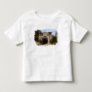 Camiseta De Bebé Irlanda, el jardín amurallado del castillo Dromola