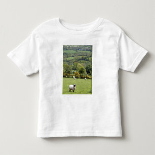 Camiseta De Bebé Irlanda Occidental, Península de Dingle, amplia