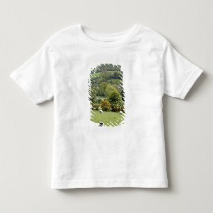 Camiseta De Bebé Irlanda occidental, península de Dingle, amplia